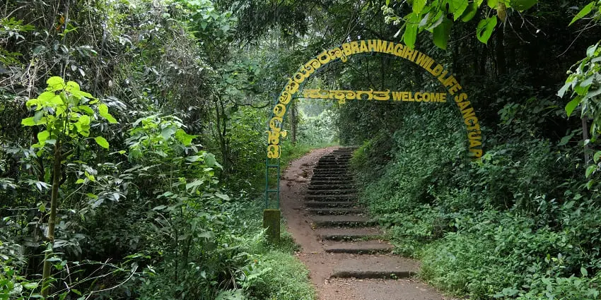 Siju Wildlife Sanctuary