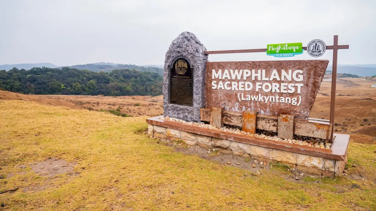 Sacred Grove (Mawphlang)