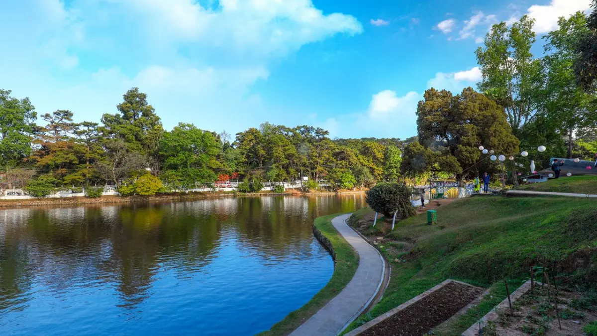 Ward’s Lake Bridge View