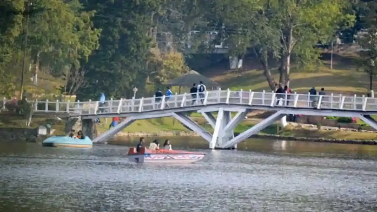 Ward’s Lake Bridge View