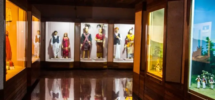 State Museum (Capt. Williamson Sangma)