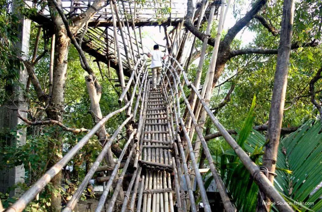 Mawryngkhang Bamboo Trail (Wahkhen)