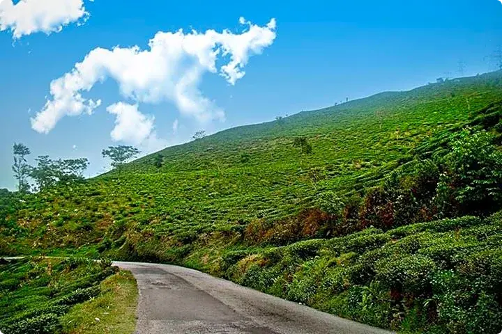 Chokpot Hills View