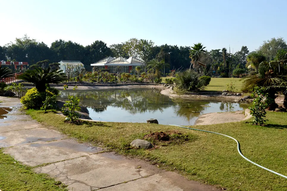 Cactus Garden