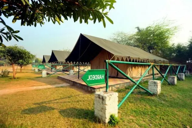 Dhauj Valley & Adventure Camps
