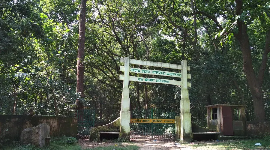 Kalesar National Park
