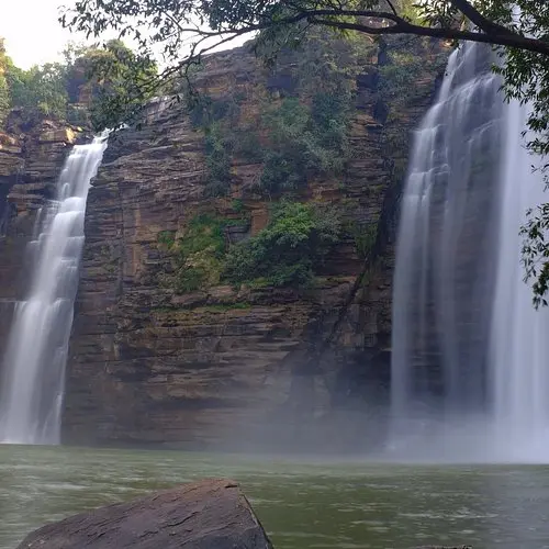 Mirzapur Forestry Park