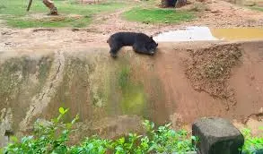 Nagaland Zoological Park