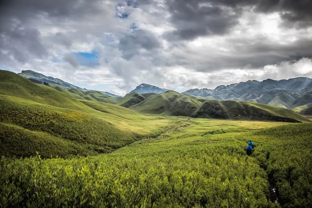 Dzükou Valley Entry (Viswema)