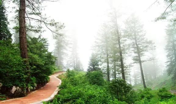 Daringbadi Hill Station