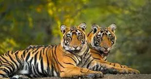 Debrigarh Wildlife Sanctuary
