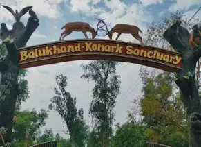 Balukhand‑Konark WLS
