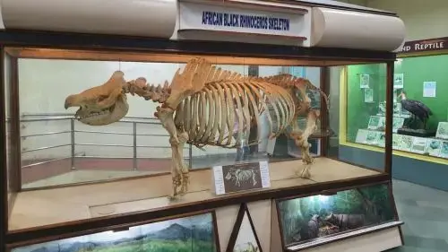 Regional Museum of Natural History