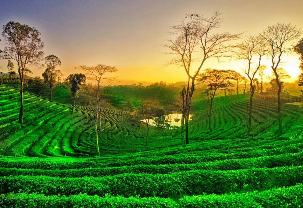 Haflong Hill Station
