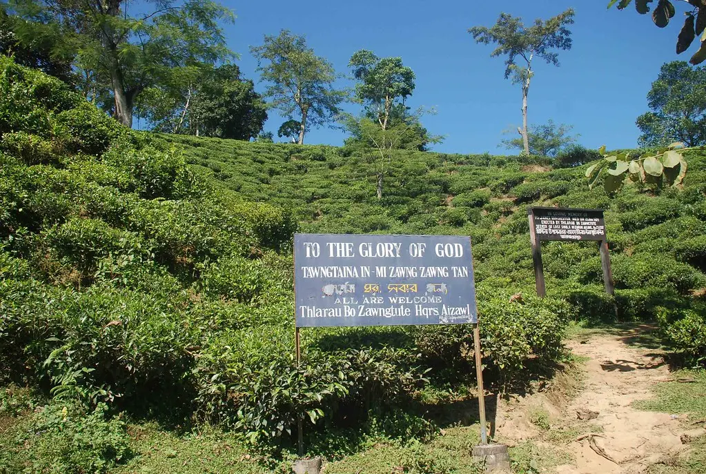 Katlicherra Tea Gardens