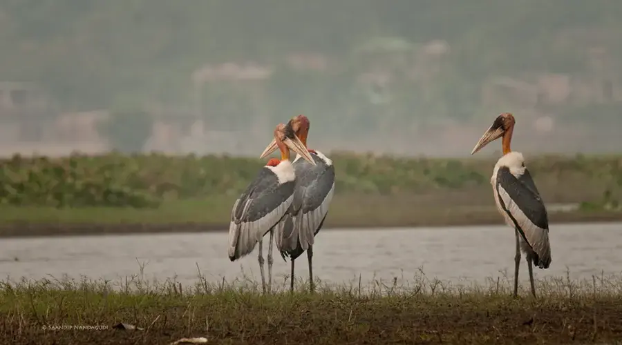 Chakrashila Wildlife Sanctuary