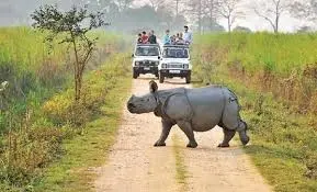 Kaziranga National Park (Western)