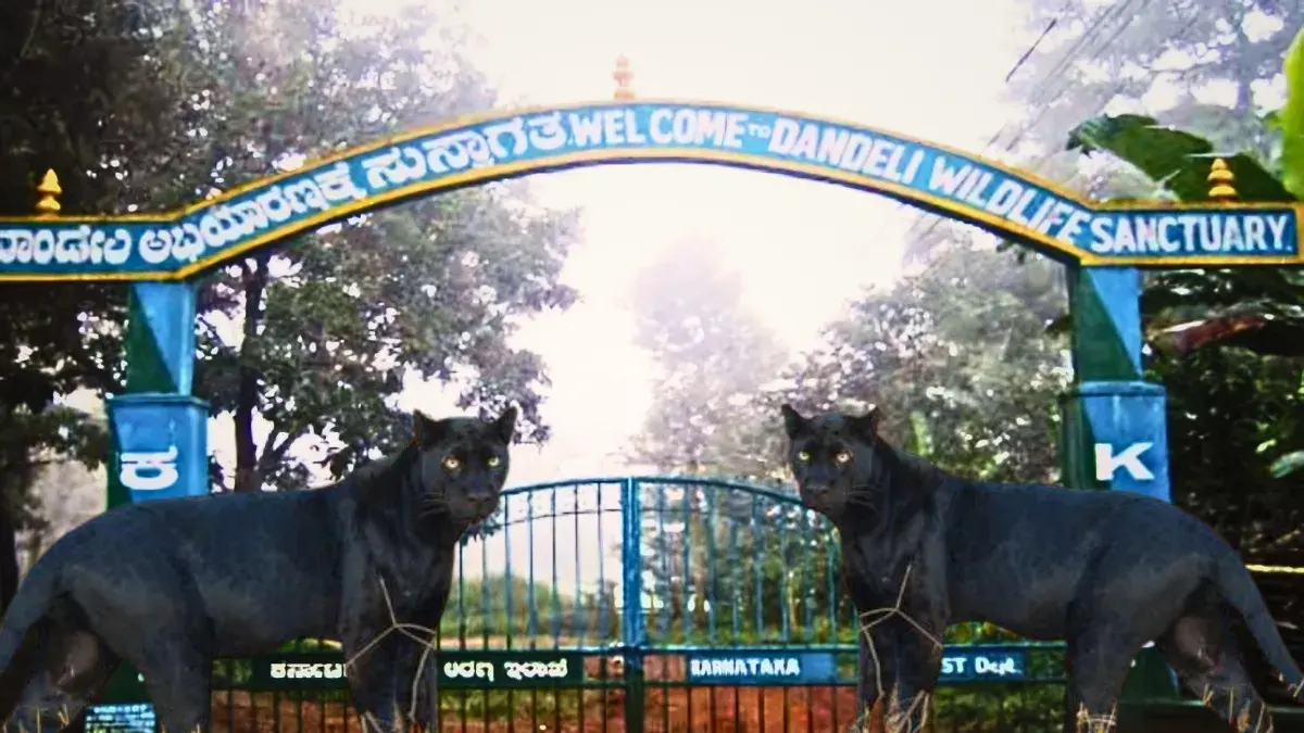 Dandeli Wildlife Sanctuary