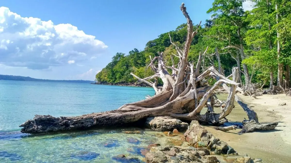 Chidiya Tapu Beach