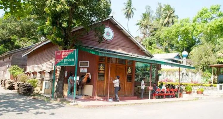 Forest Museum