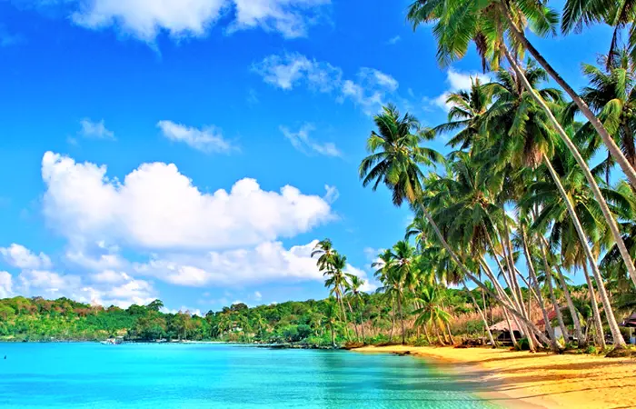 Interview Island