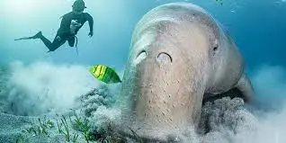 Rani Jhansi Marine National Park
