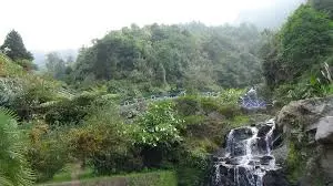 Rock Garden (Barbotey)