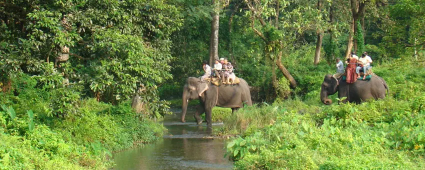 Gorumara National Park