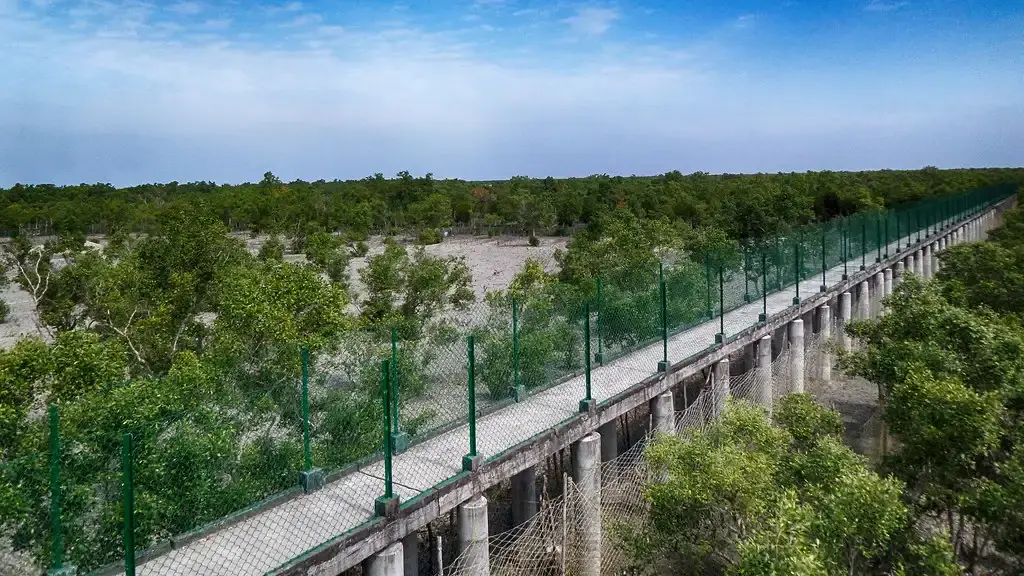Dobanki Canopy Walk