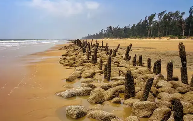 Shankarpur Beach