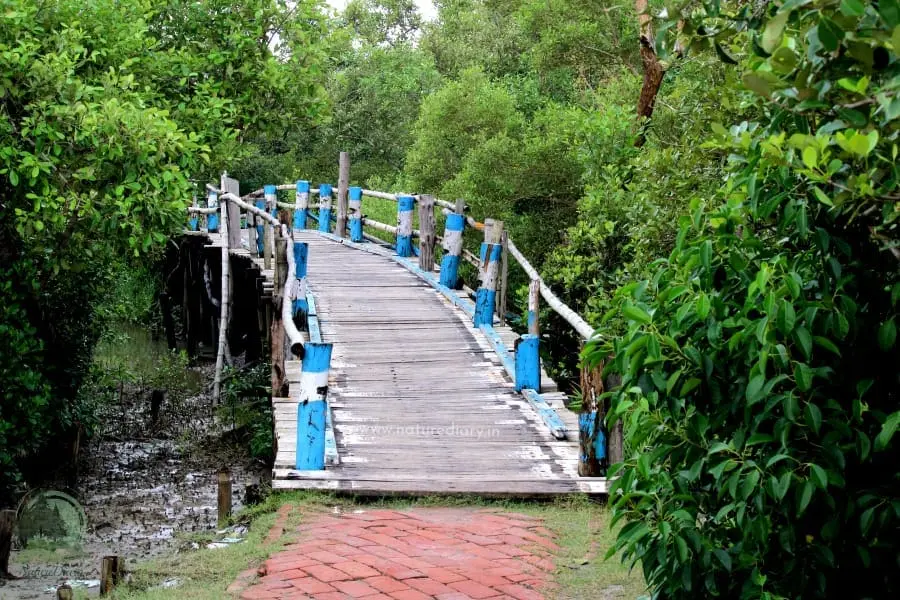 Henry’s Island–Bakkhali