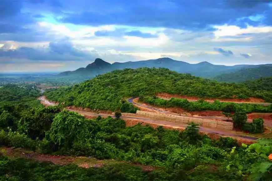 Duarsini