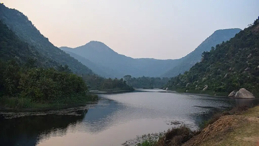 Duarsini