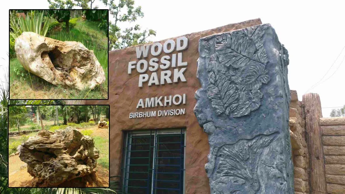 Amkhoi Wood Fossil Park