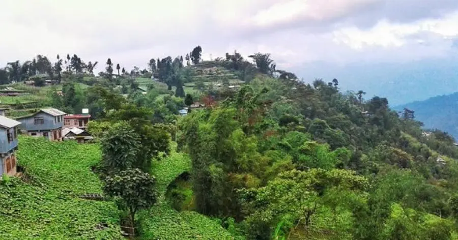 Lamagaon