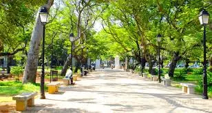 Bharathi Park (Government Park)