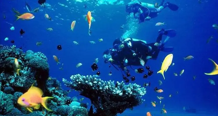 Scuba Diving - Temple Adventures