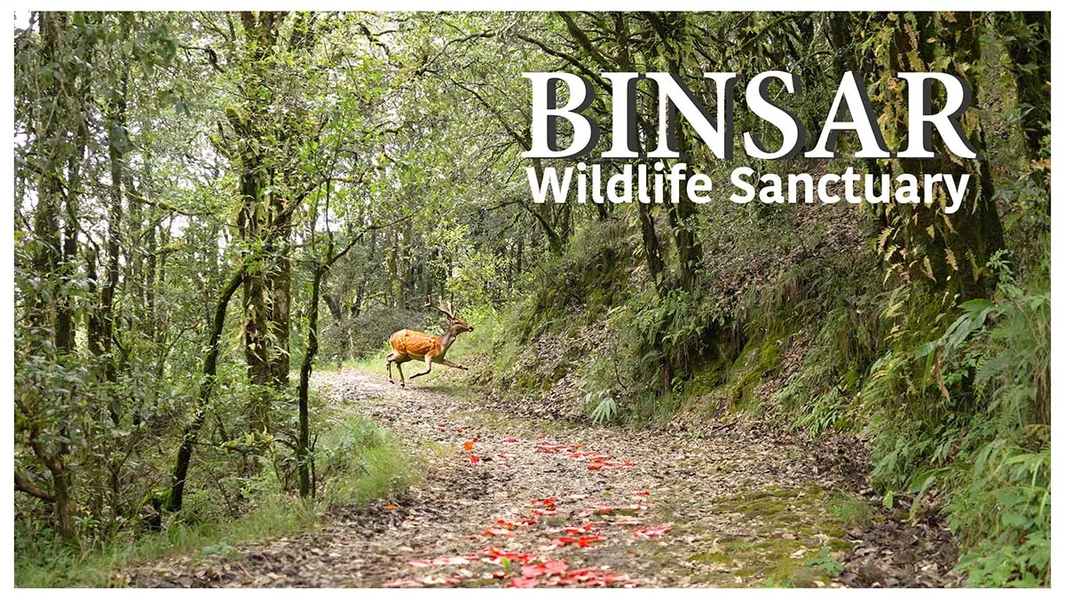 Binsar Wildlife Sanctuary