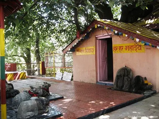 Kalpavriksha (Joshimath)