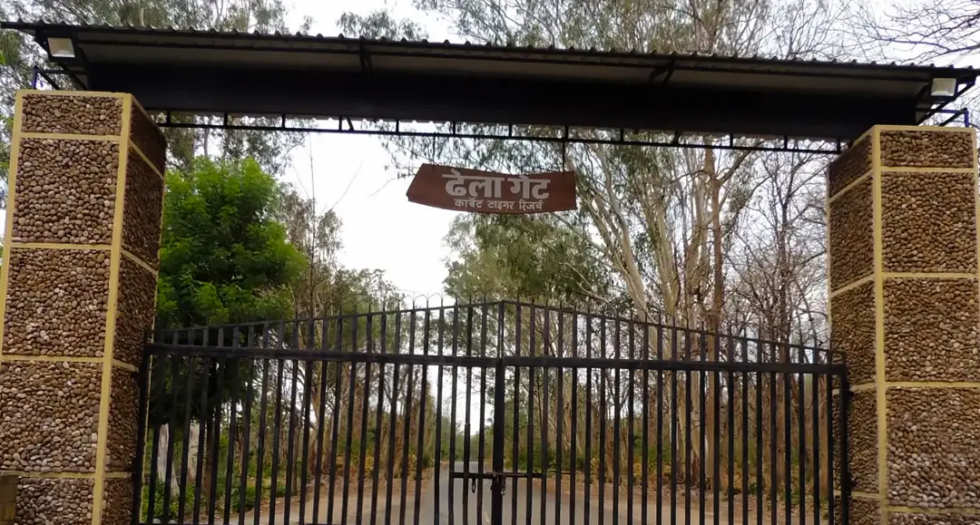 Dhela Zone