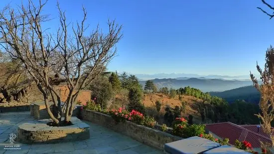 Sitla Estate Area
