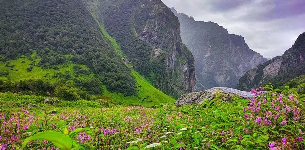 Ghangaria (Govindghat Base)