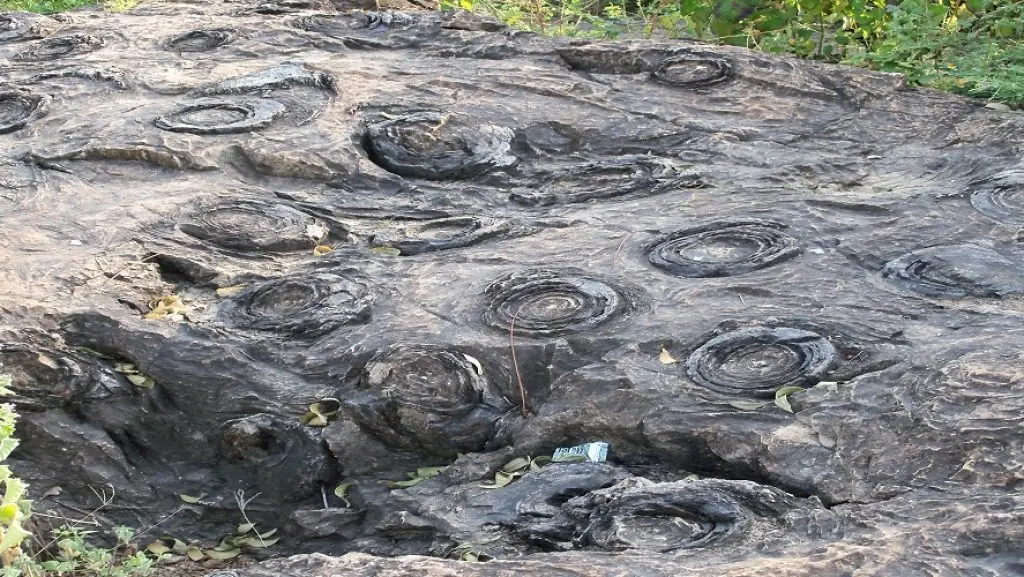 Fossil Park (Salkhan)
