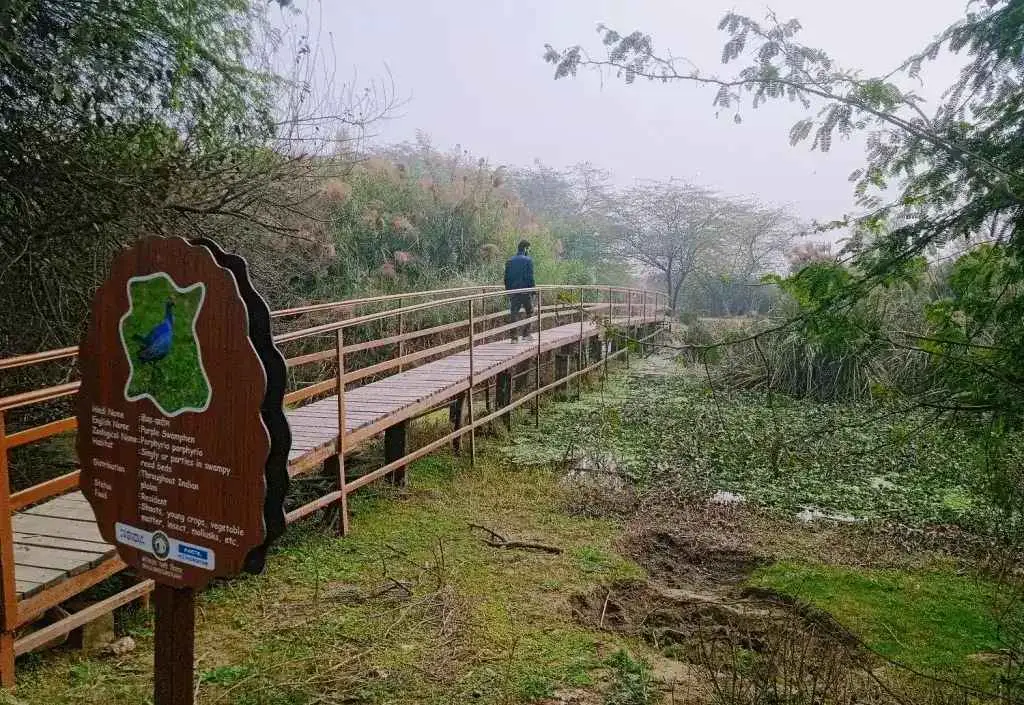 Okhla Bird Sanctuary