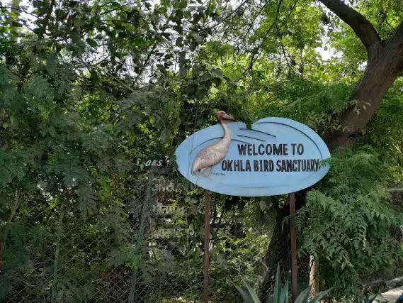 Okhla Bird Sanctuary