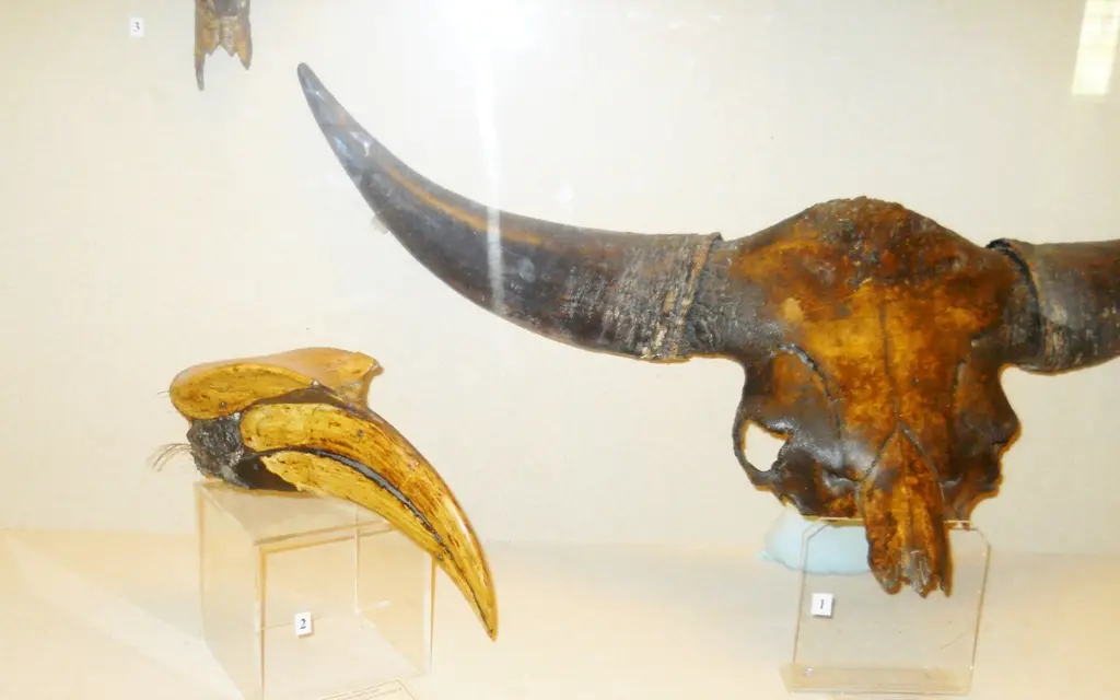 State Museum