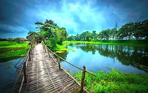 Pine Grove