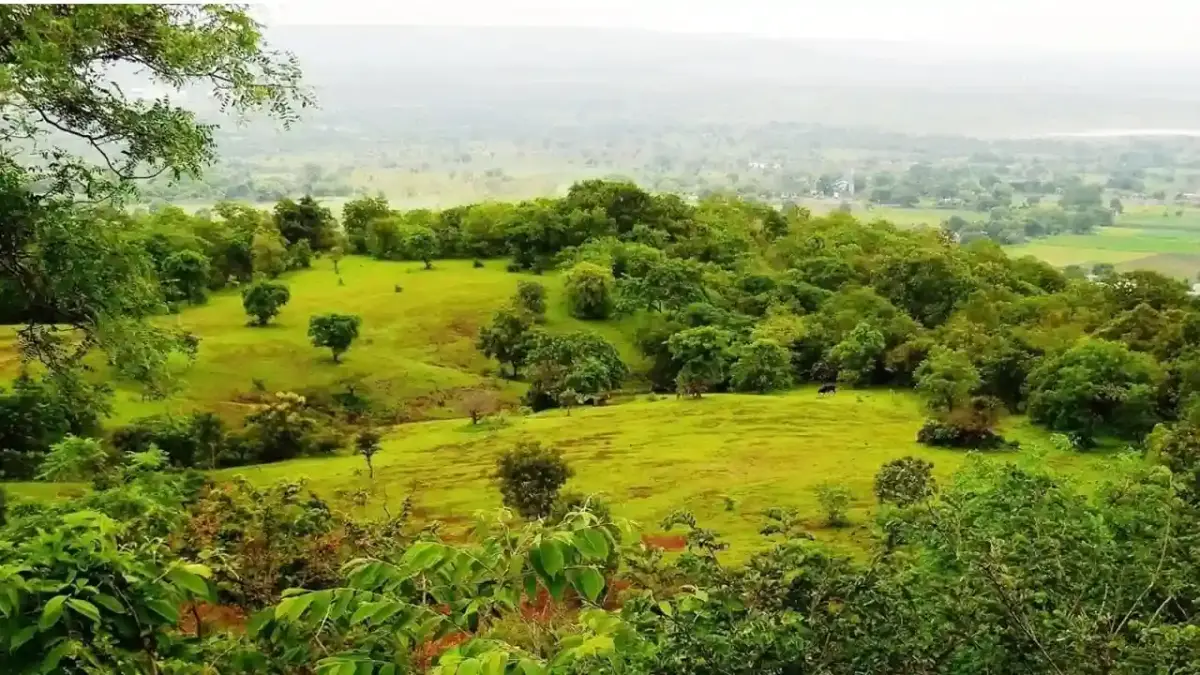Ananthagiri Hills