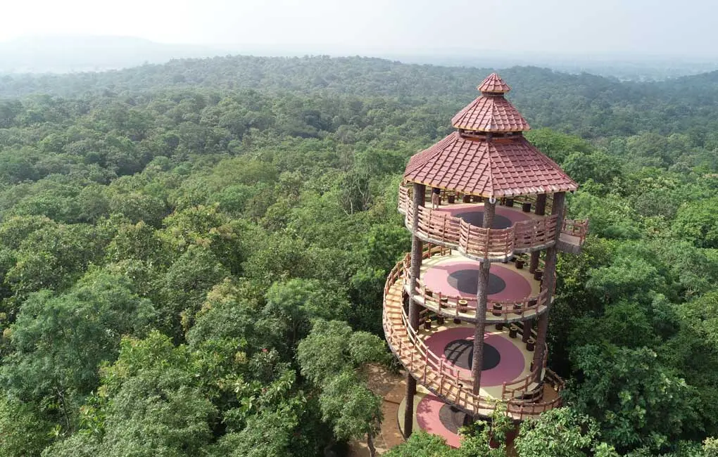 Narsapur Urban Forest Park