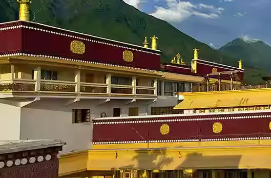 Gyuto Monastery (Sidhbari)